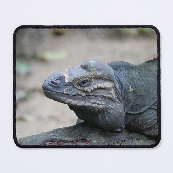 Item preview, Rhino Iguana designed and sold by LeanneAllen.