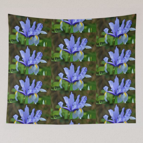 Item preview, Beautiful Iris.......... designed and sold by lynn carter.