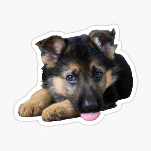 German Shepherd Puppy Sticker Sticker
