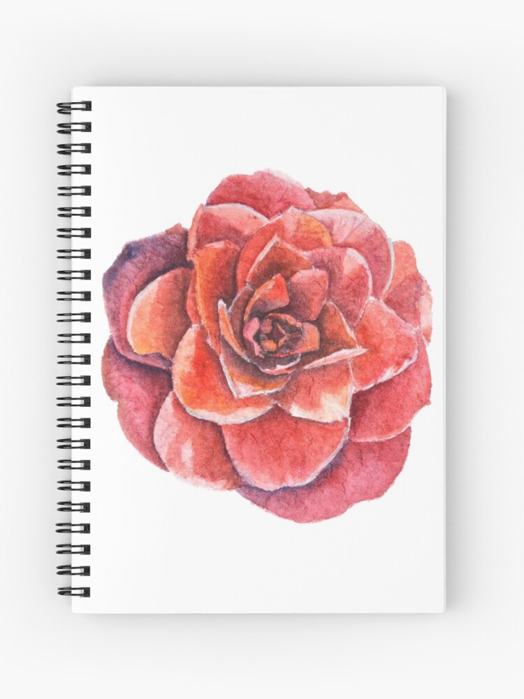 Cuaderno de espiral «acuarela de la flor de la camelia» de cindybarillet |  Redbubble