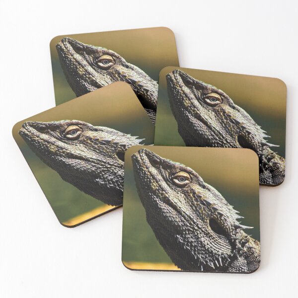 Item preview, "Look Sharp" Lizard sunning on log - Stanthorpe - QLD designed and sold by Ohlordi.