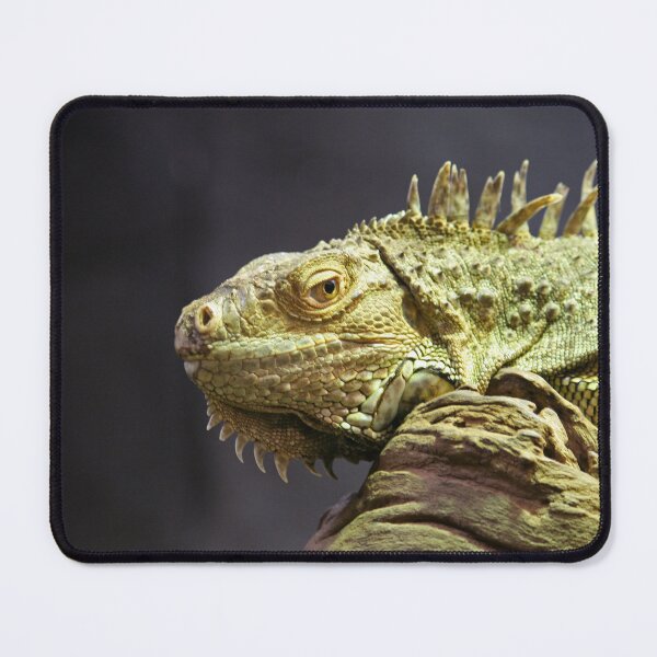 Item preview, Iguana designed and sold by LeanneAllen.