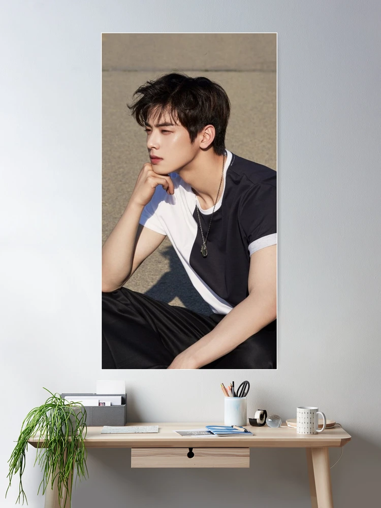 CHA EUN WOO