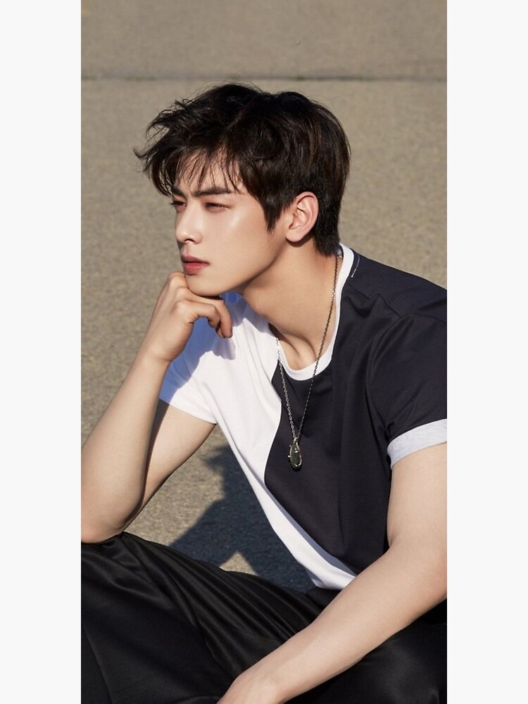 CHA EUN WOO