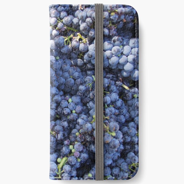 Pinot Noir Grapes at Magpie Springs by Avril Thomas iPhone Wallet
