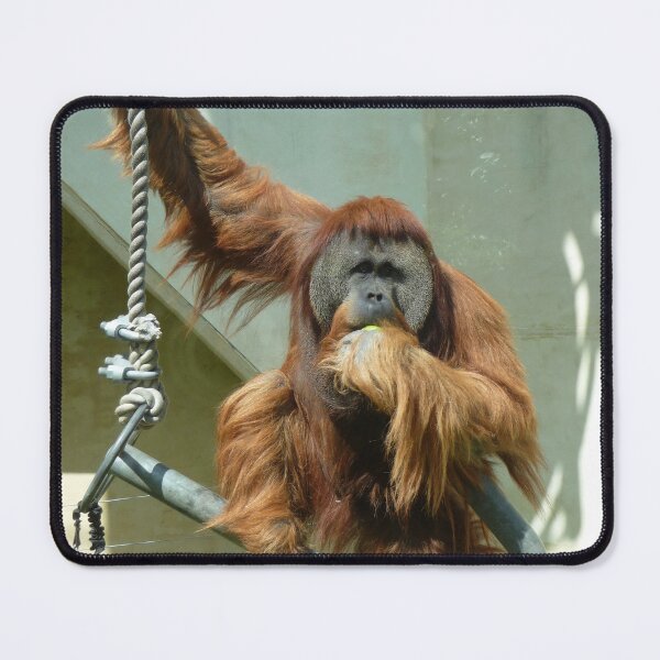 Item preview, Orangutan designed and sold by LeanneAllen.