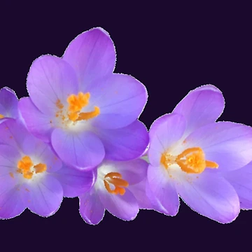 Artwork thumbnail, Spring by Amanda1775