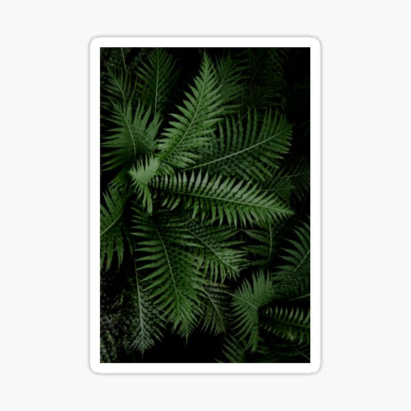 Item preview, Tropical Leaves 02 designed and sold by VanGalt.
