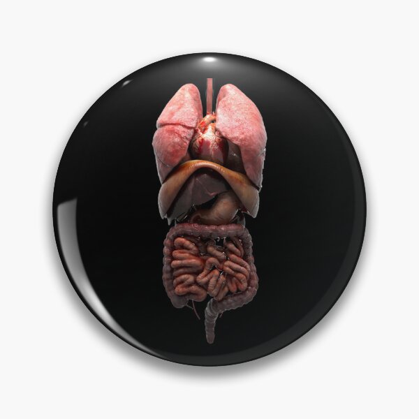 Item preview, digestive system t-shirt | 3d digestive system t-shirt designed and sold by KARTICK DUTTA.