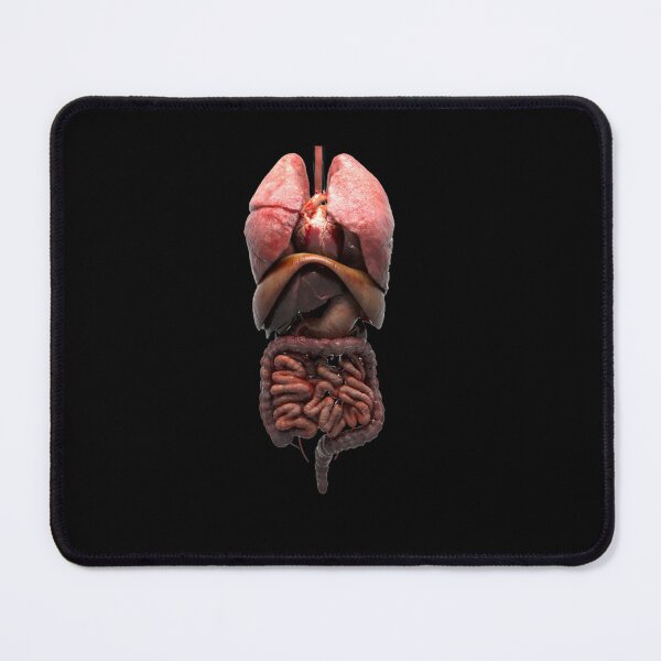 Item preview, digestive system t-shirt | 3d digestive system t-shirt designed and sold by KARTICK DUTTA.