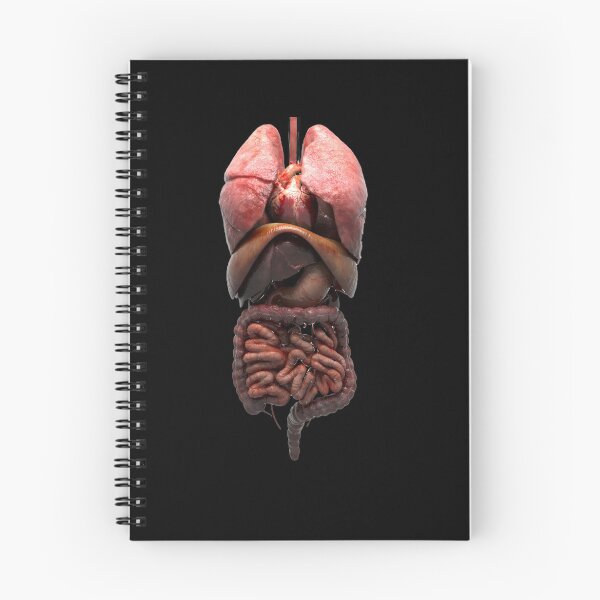 Item preview, digestive system t-shirt | 3d digestive system t-shirt designed and sold by KARTICK DUTTA.