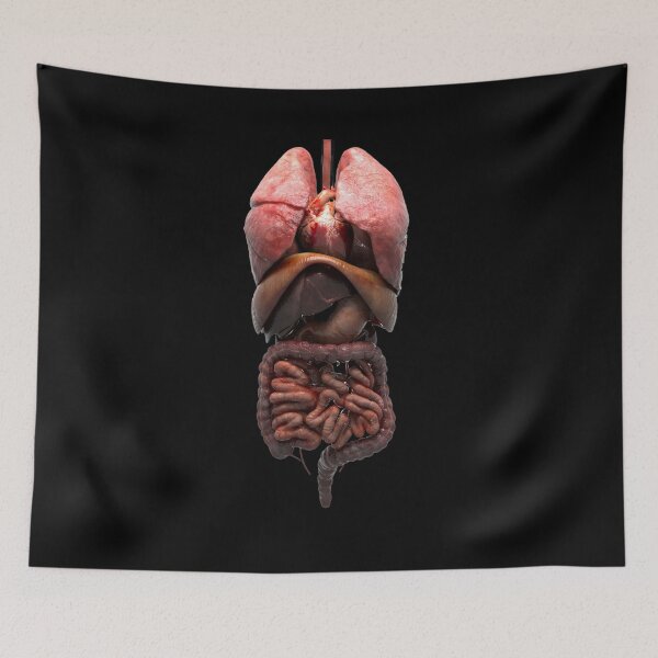 Item preview, digestive system t-shirt | 3d digestive system t-shirt designed and sold by KARTICK DUTTA.