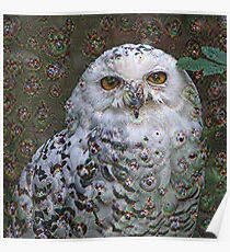 Dream Creatures, Snowy Owl 001, DeepDream (Schnee-Eule) Poster