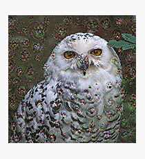 Dream Creatures, Snowy Owl 001, DeepDream (Schnee-Eule) Photographic Print
