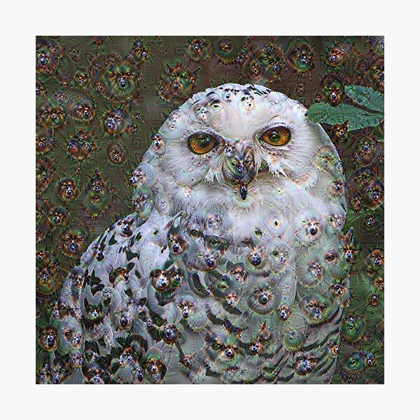 Dream Creatures, Snowy Owl 001, DeepDream (Schnee-Eule) Photographic Print