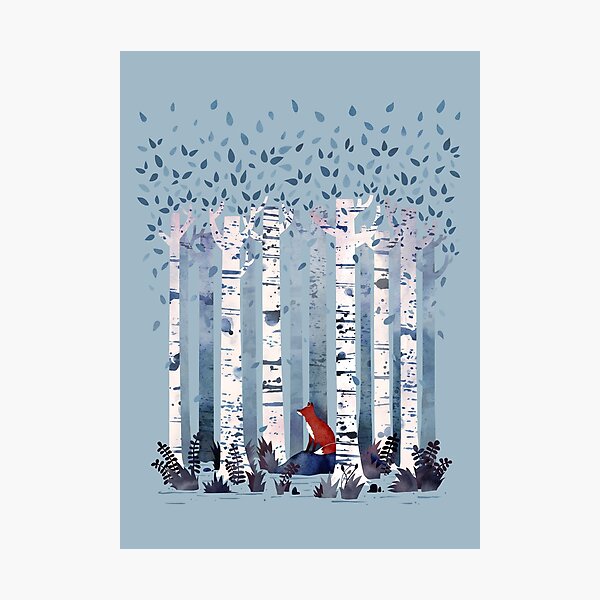 The Birches (in Blue) Photographic Print