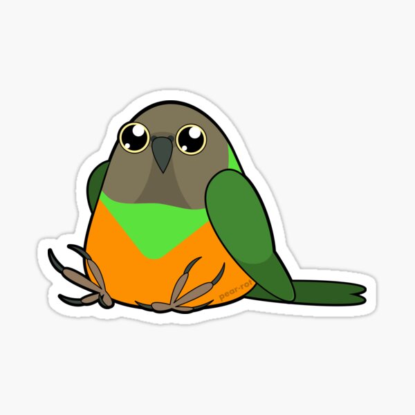 Senegal Pear-rot Sticker