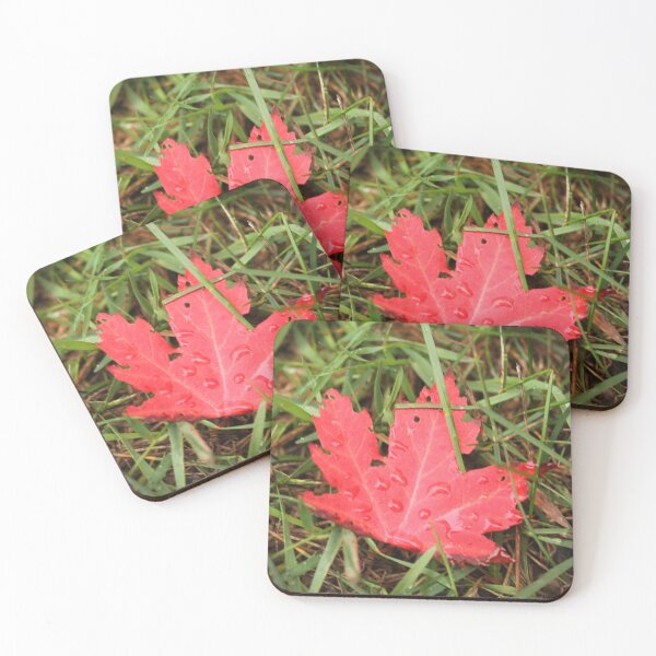 Item preview, Dew Covered Maple Leaf designed and sold by ToxicSquid101.