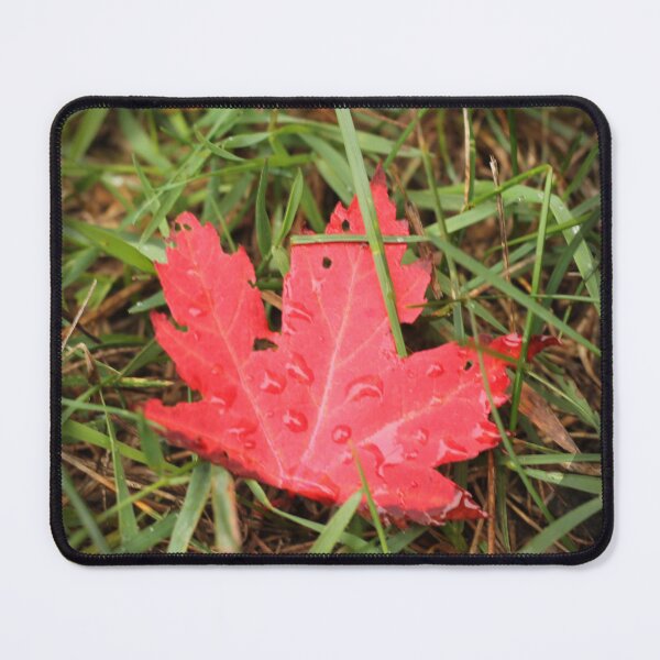 Item preview, Dew Covered Maple Leaf designed and sold by ToxicSquid101.