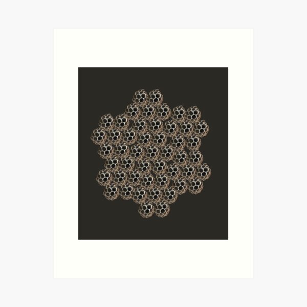 Item preview, Wasp Nest in Honeycomb Shape - Real wasp nest designed and sold by EveryDayDabble.