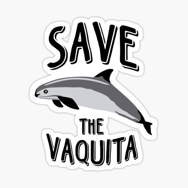 Save the vaquita Sticker