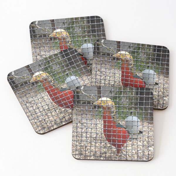 Item preview, #182 |☼| Pheasant (Elsham Hall, Gardens & Country Park) designed and sold by Naean H.F. (Nez Man).