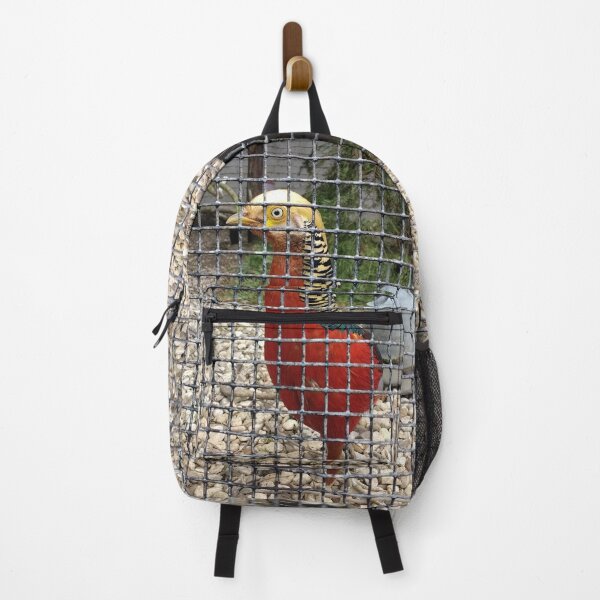 Item preview, #182 |☼| Pheasant (Elsham Hall, Gardens & Country Park) designed and sold by Naean H.F. (Nez Man).