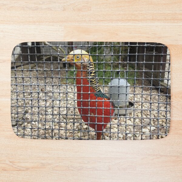 Item preview, #182 |☼| Pheasant (Elsham Hall, Gardens & Country Park) designed and sold by Naean H.F. (Nez Man).