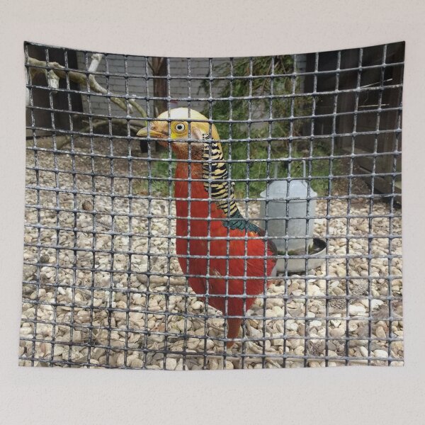 Item preview, #182 |☼| Pheasant (Elsham Hall, Gardens & Country Park) designed and sold by Naean H.F. (Nez Man).