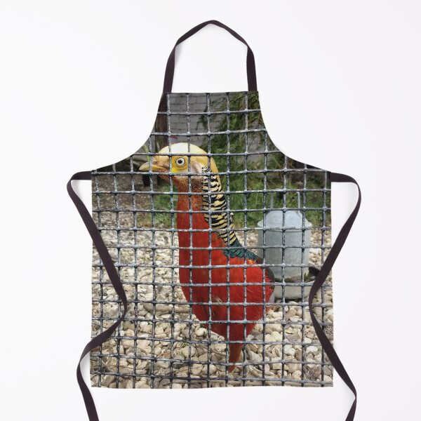 Item preview, #182 |☼| Pheasant (Elsham Hall, Gardens & Country Park) designed and sold by Naean H.F. (Nez Man).