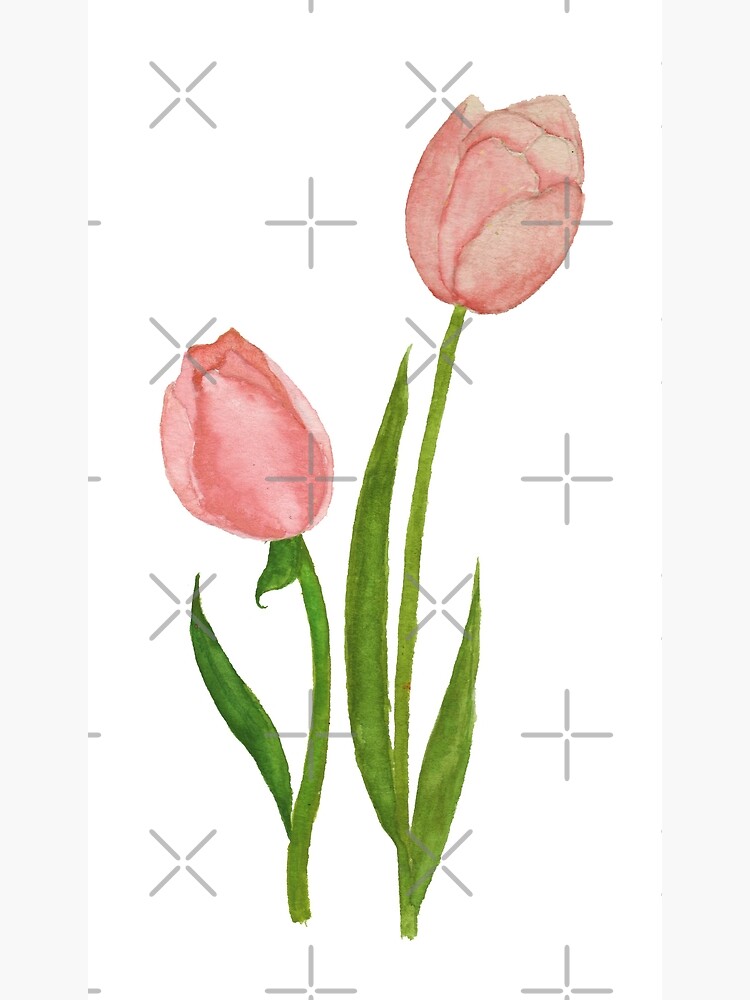 Hãy khám phá những thẻ chúc mừng hoa tulip đẹp mắt, với những họa tiết hoa tulip đầy màu sắc và sinh động. Những mẫu thiết kế chúc mừng này sẽ gửi đến người nhận lời chúc tốt đẹp, sự cổ vũ và hy vọng, và cũng là món quà đáng trân trọng trong những dịp đặc biệt.