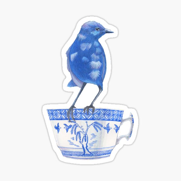 splendid fairy wren on a teacup Sticker
