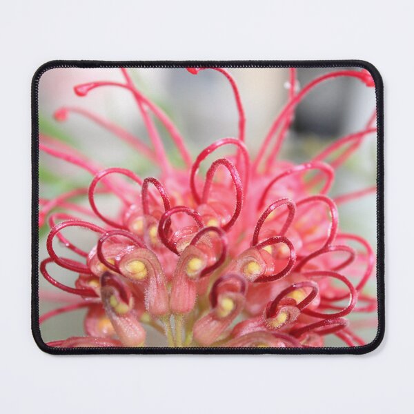 Item preview, pretty grevillea designed and sold by ljdewet.