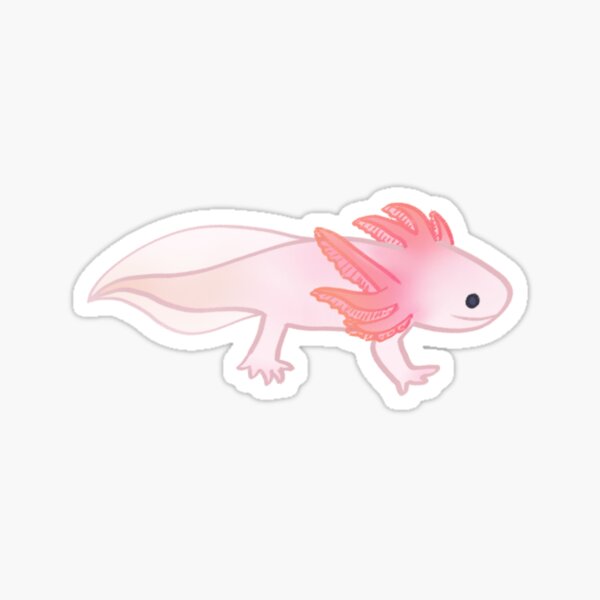 Vista previa del artículo con la obra «Etiqueta engomada rosada de Axolotl», diseñado y vendido por pipski.