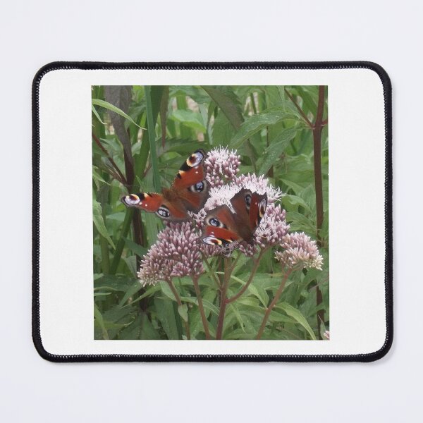 Item preview, Volksbolts/KABFA Designs, Peacock Butterflies, flowers, canal, flowers designed and sold by KABFA Designs.