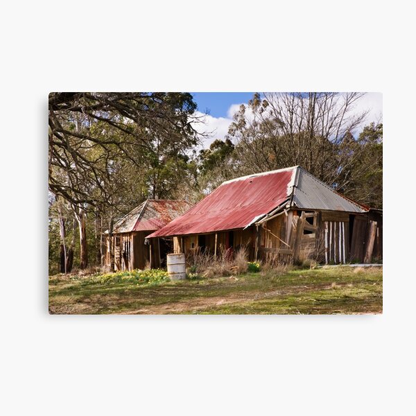 The Jonquil Garden Canvas Print