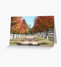 country lane... Greeting Card