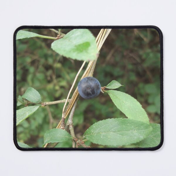 Item preview, Volksbolts/KABFA Designs, Ensor Pool Nuneaton Sloe Berry Black Thorn, By Miss K L Slomczynski designed and sold by KABFA Designs.