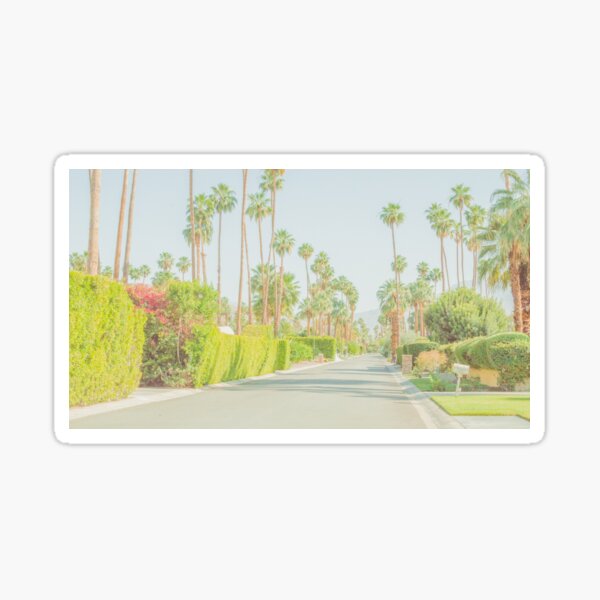 Palm Springs Tree-Lined Street In California Desert Sticker