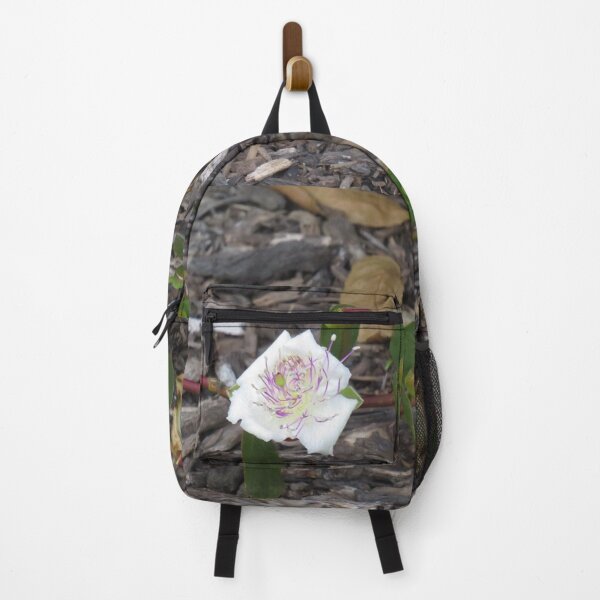 Item preview, Caper bush flower designed and sold by greentiger1.
