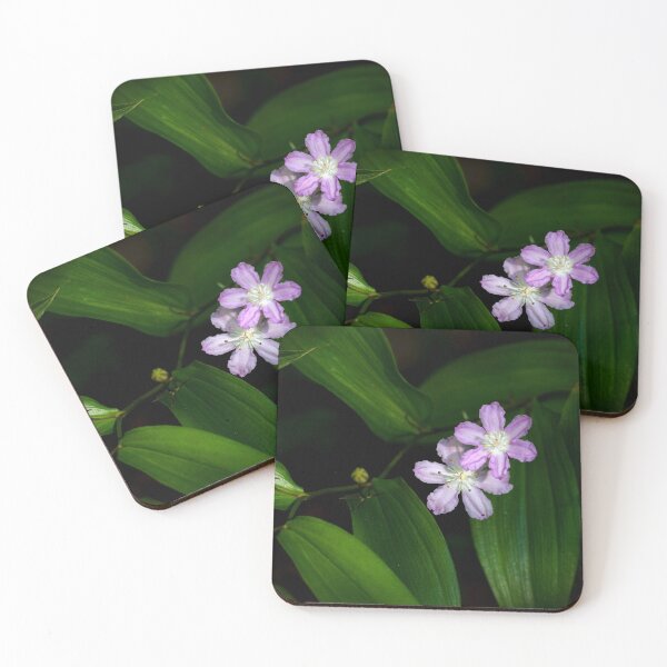 Item preview, Australian rainforest flower designed and sold by Jennene Cathcart.
