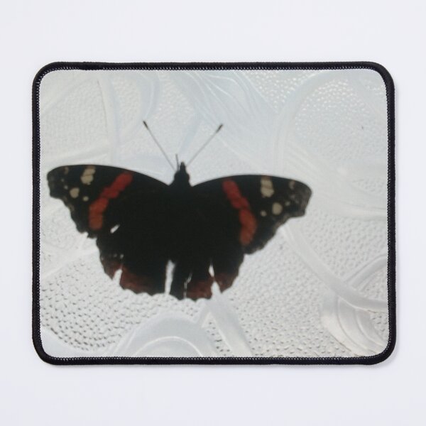 Item preview, KABFA Designs and Volksbolts, Butterfly on Glass Door, By Miss K L Slomczynski, designed and sold by KABFA Designs.