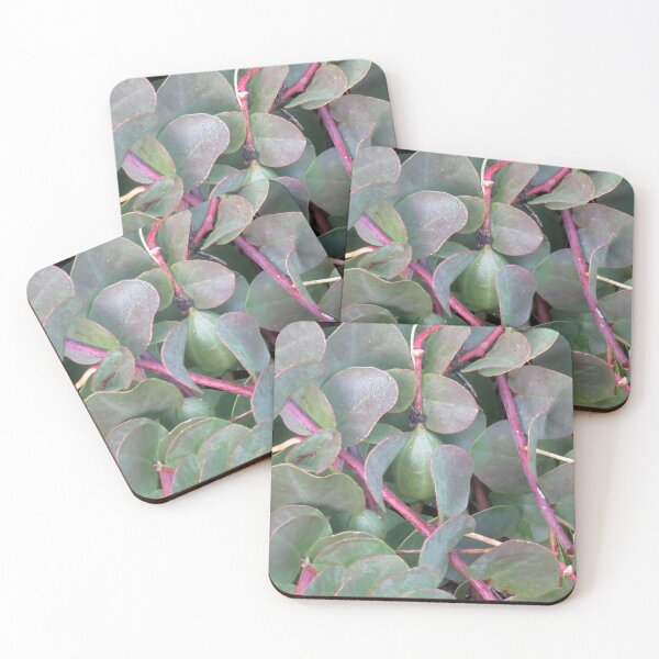 Item preview, Caper berry designed and sold by greentiger1.