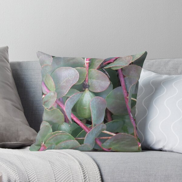 Item preview, Caper berry designed and sold by greentiger1.