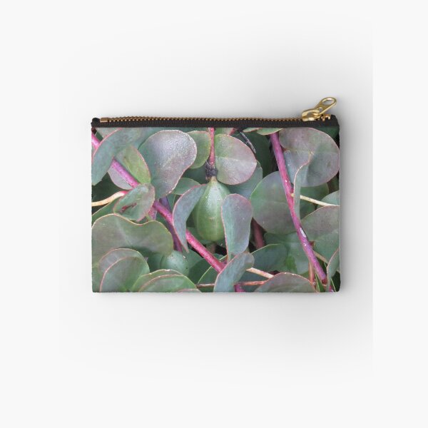 Item preview, Baya de alcaparra designed and sold by greentiger1.