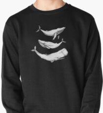 Wale in Schwarz Sweatshirt