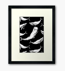 Whales in black Framed Print