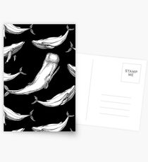 Whales in black Postcards