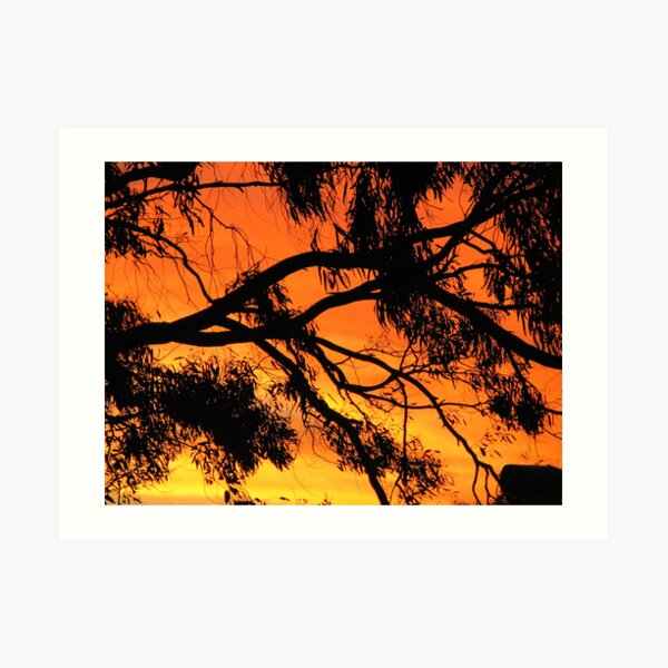 Lava Limbs Art Print