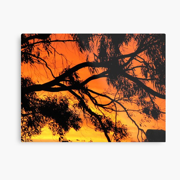 Lava Limbs Metal Print